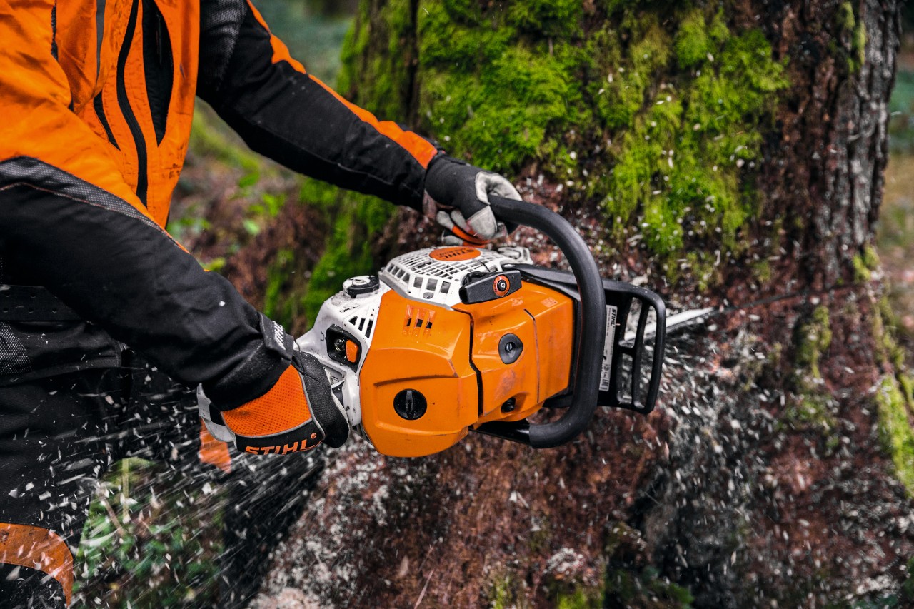 Mies sahaamassa puunrunkoa STIHL MS 500i -moottorisahalla