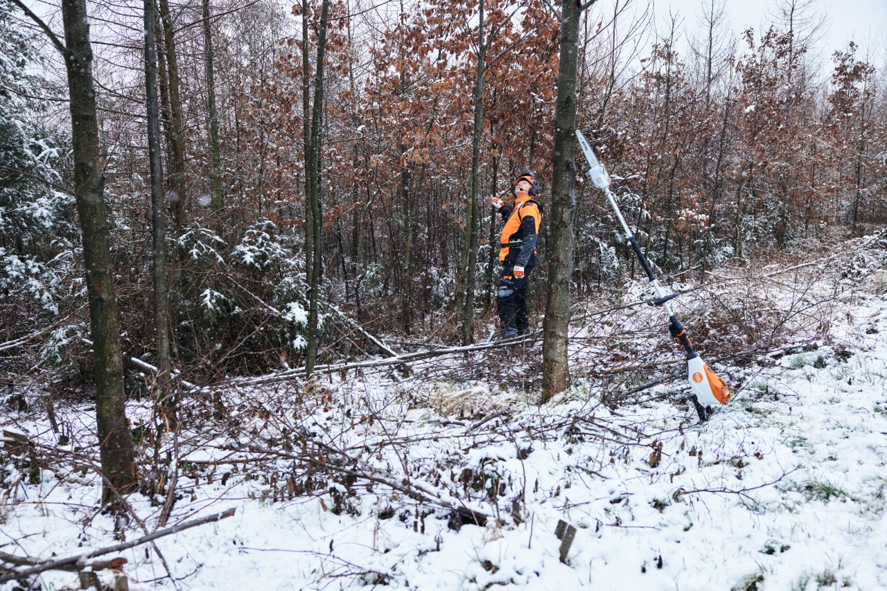 Suojavarusteisiin pukeutunut mies työskentelemässä lumisessa metsässä, etualalla puunrunkoa vasten akkukäyttöinen STIHL HTA 150 -oksasaha