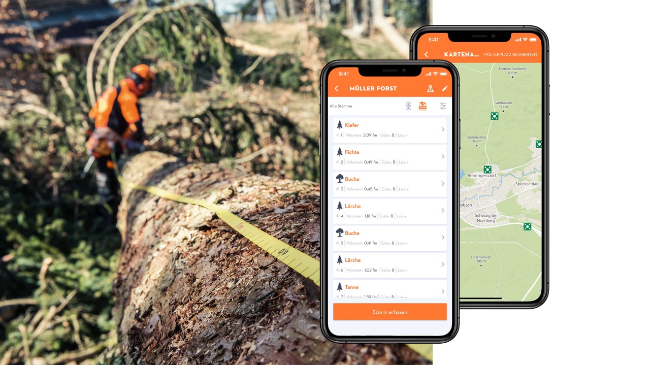 Puun rakenne mittanauhalla ja älypuhelimella, jossa on STIHL Holzliste -sovellus