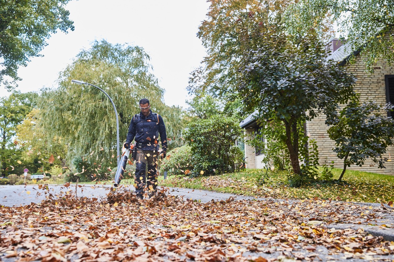 Puutarhuri ja maisemoija poistamassa lehtiä tieltä STIHL BGA 200 -akkupuhaltimella.