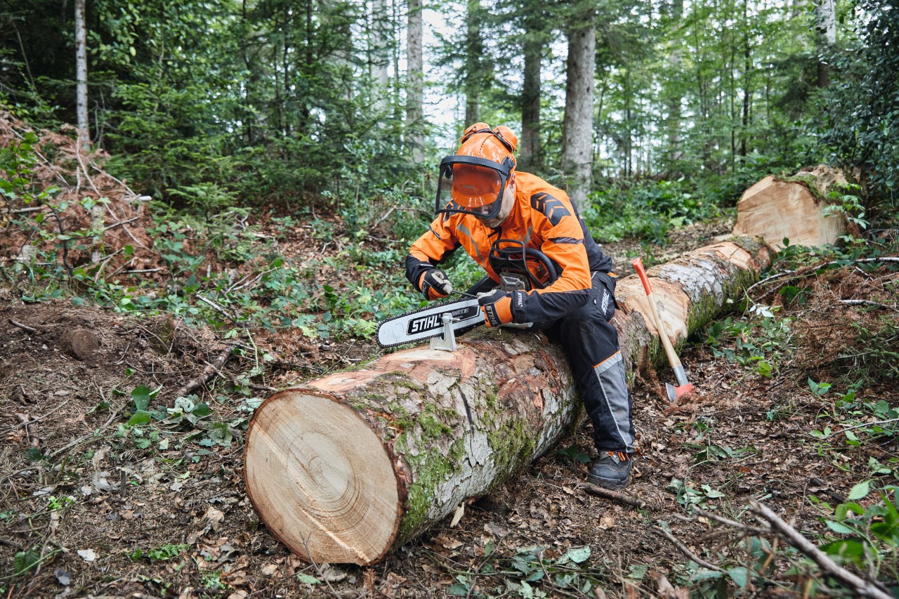 Suojavarusteisiin pukeutunut mies sahaamassa jo kaadettua puuta STIHL-moottorisahalla, jossa on umpiteräksisen terälevy
