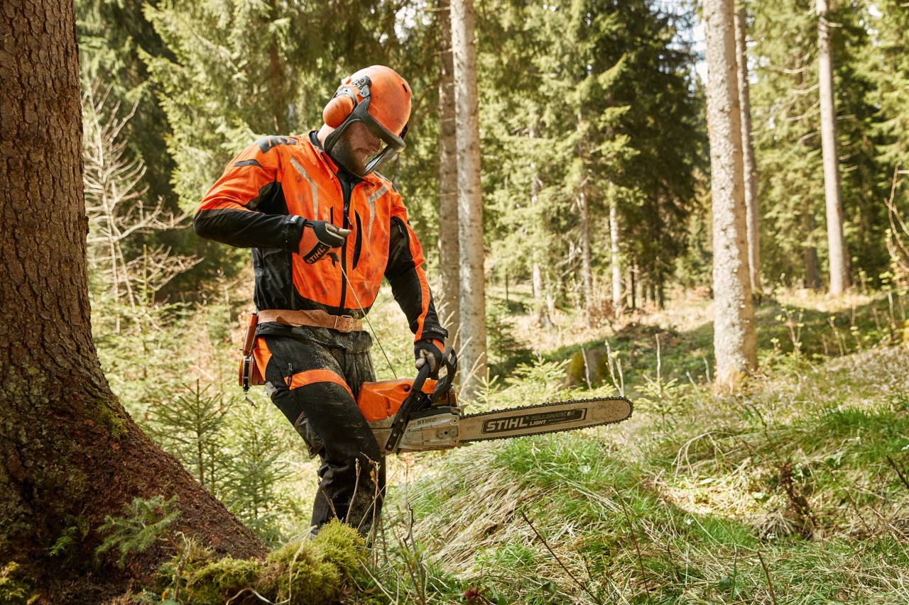 Metsuri suojavarusteilla kantamassa bensiinikäyttöistä STIHL MS 462 C -moottorisahaa havumetsässä
