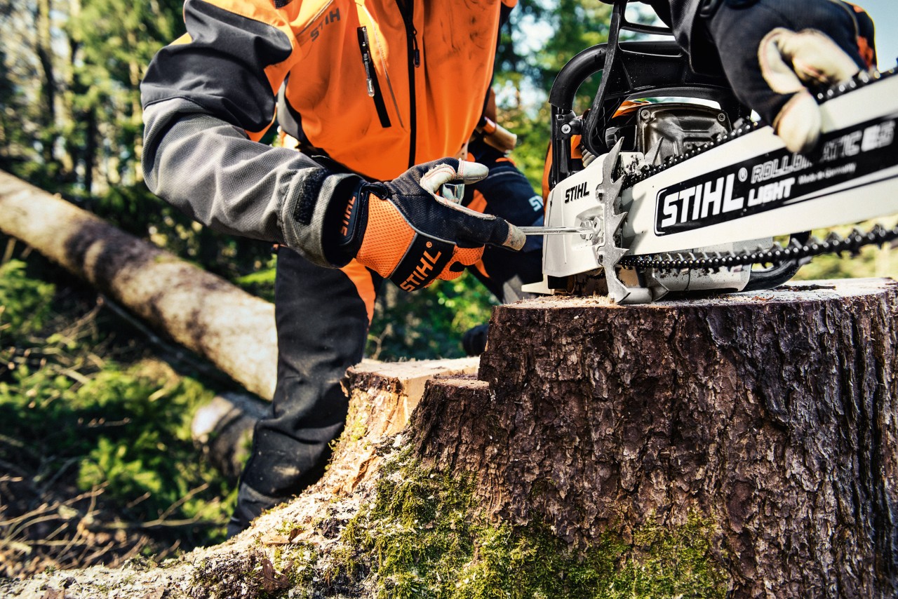 Bensiinikäyttöinen STIHL MS 461 -moottorisaha puunrungossa ja suojavaatteissa oleva henkilö irrottamassa ketjupyörän suojusta