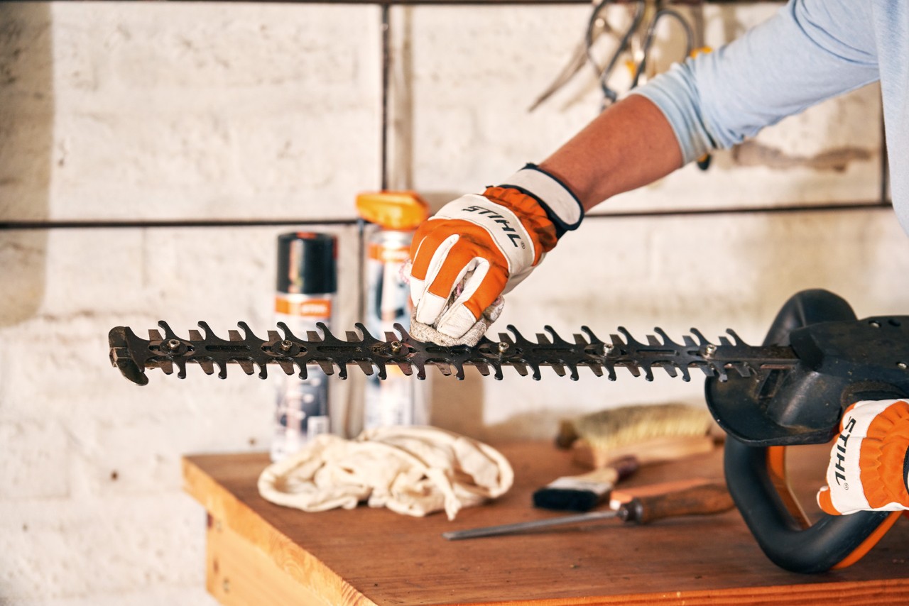 Akkukäyttöisen STIHL HSA 56 -pensasleikkurin teriä puhdistetaan