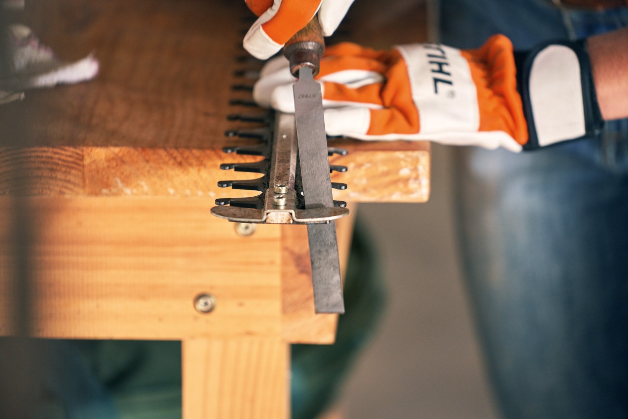 Akkukäyttöisen STIHL HSA 56 -pensasleikkurin teroitusta litteällä viilalla