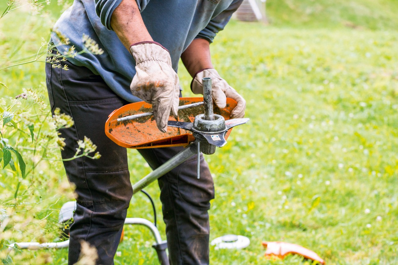 Leikkuupään puhdistaminen STIHL FS 131 -raivaussahan kunnossapidon yhteydessä